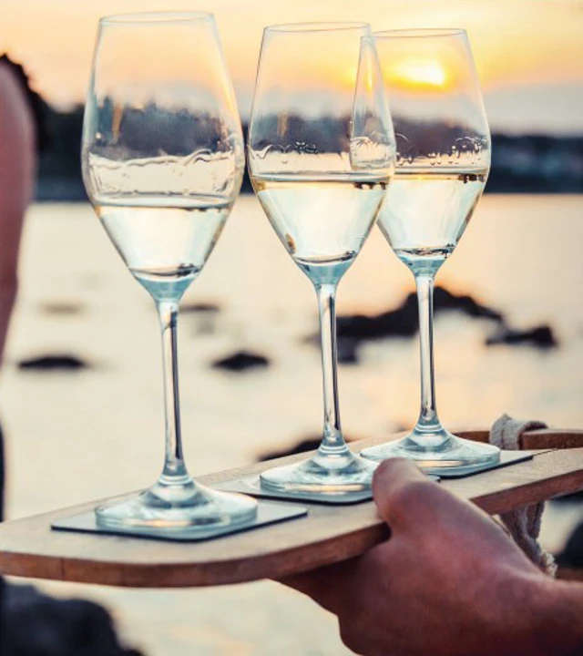 Silwy Champagner Image 2 600X600